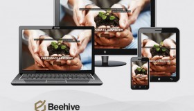 Beehive Capital Advisors – India