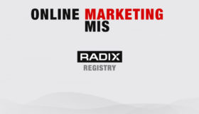 Radix Registry – Online Marketing MIS